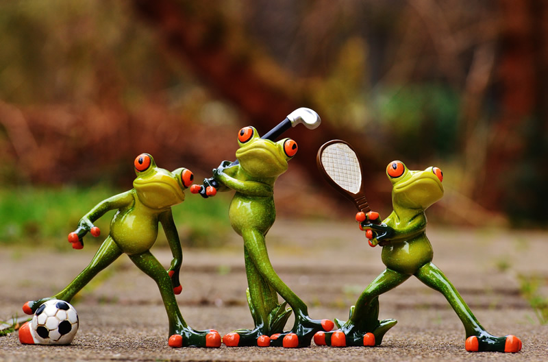 frogs-just-because-they-are-cute   